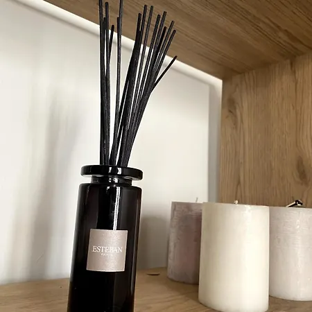 Appartement T2 Historic District Of Carmes Toulouse