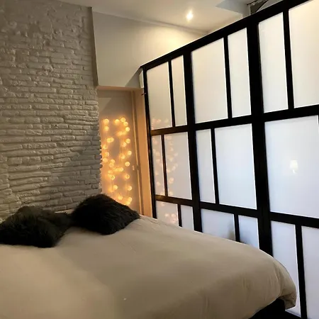 Apartment T2 Historic District Of Carmes *